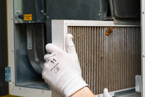 Best Affordable HVAC Duct Cleaning  in Millbrook, AL